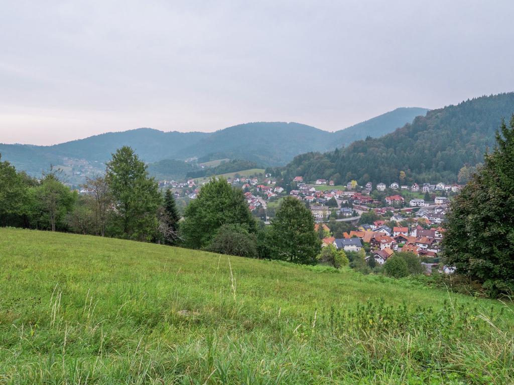 Quaint Apartment In Buhlertal With Private Garden Exteriér fotografie