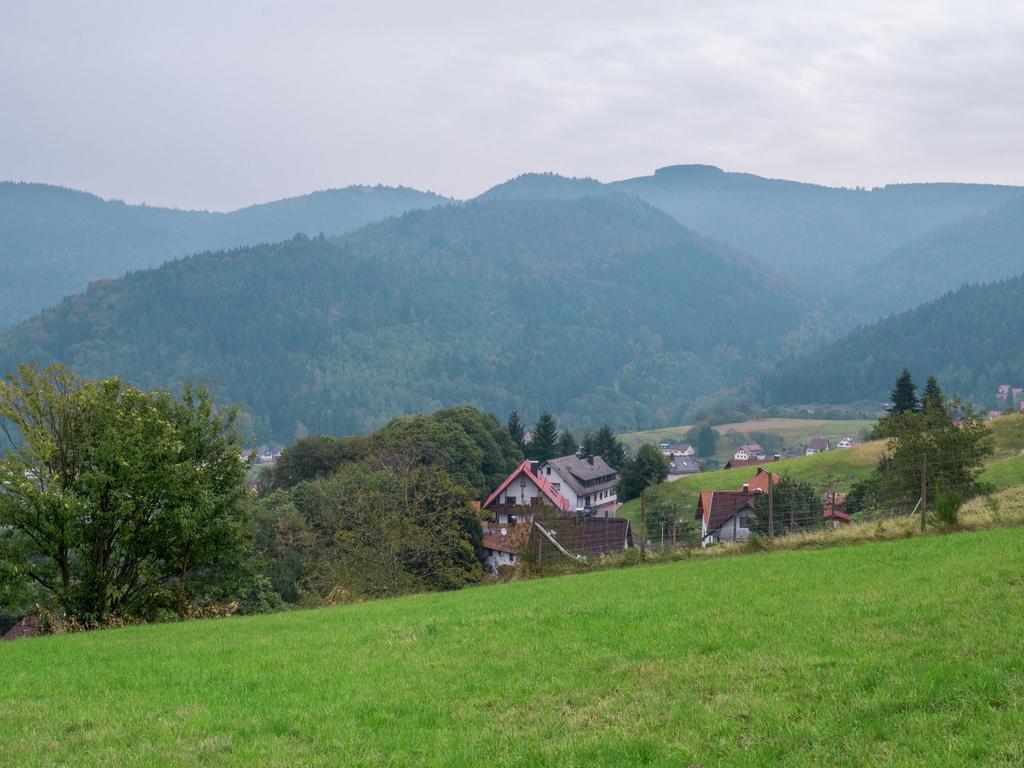 Quaint Apartment In Buhlertal With Private Garden Exteriér fotografie